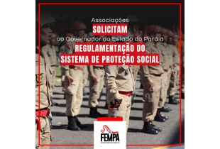ASSOCIAÇÕES COBRAM DO GOVERNADOR DO ESTADO DO PARÁ A REGULAMENTAÇÃO DO SISTEMA DE PROTEÇÃO SOCIAL